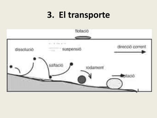 3. El transporte

 