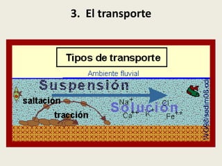 3. El transporte

 
