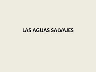 LAS AGUAS SALVAJES

 