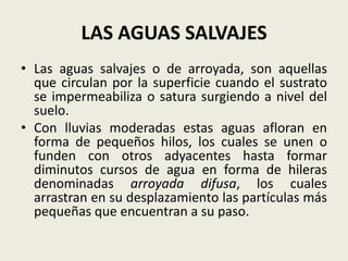 LAS AGUAS SALVAJES
• Las aguas salvajes o de arroyada, son aquellas
que circulan por la superficie cuando el sustrato
se impermeabiliza o satura surgiendo a nivel del
suelo.
• Con lluvias moderadas estas aguas afloran en
forma de pequeños hilos, los cuales se unen o
funden con otros adyacentes hasta formar
diminutos cursos de agua en forma de hileras
denominadas arroyada difusa, los cuales
arrastran en su desplazamiento las partículas más
pequeñas que encuentran a su paso.

 