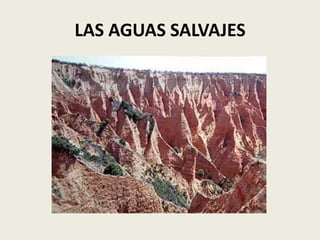 LAS AGUAS SALVAJES

 