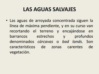 LAS AGUAS SALVAJES
• Las aguas de arroyada concentrada siguen la
línea de máxima pendiente, y en su curso van
recortando el terreno y encajándose en
barrancos
estrechos
y
profundos
denominados cárcavas o bad lands. Son
característicos de zonas carentes de
vegetación.

 