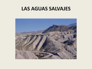 LAS AGUAS SALVAJES

 
