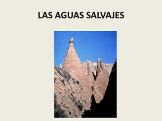 LAS AGUAS SALVAJES

 