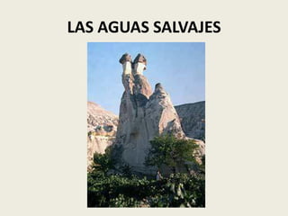 LAS AGUAS SALVAJES

 