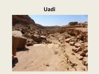 Uadi

 