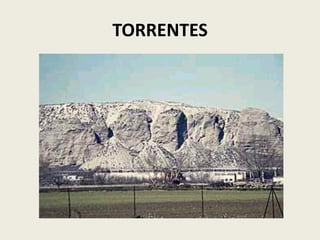 TORRENTES

 