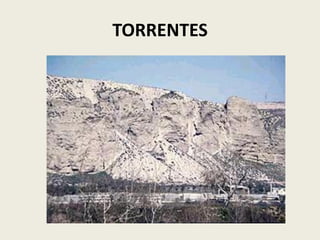 TORRENTES

 