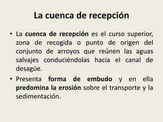 La cuenca de recepción
• La cuenca de recepción es el curso superior,
zona de recogida o punto de origen del
conjunto de arroyos que reúnen las aguas
salvajes conduciéndolas hacia el canal de
desagüe.
• Presenta forma de embudo y en ella
predomina la erosión sobre el transporte y la
sedimentación.

 