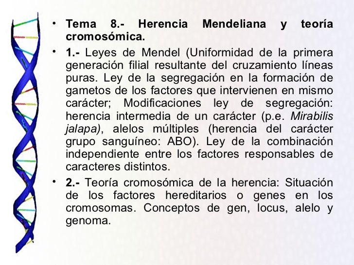 Tema 8 herencia mendeliana y teoría cromosómica