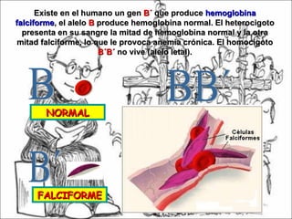 Tema 8 herencia simple | PPS