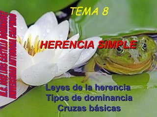TEMA 8 HERENCIA SIMPLE Leyes de la herencia  Tipos de dominancia   Cruzas básicas   M.C. JOSE LUIS CASTILLO DOMINGUEZ UNIVERSIDAD AUTONOMA CHAPINGO 