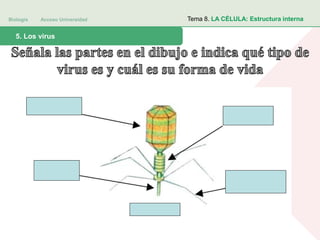 Biología Acceso Universidad
1. Teoría celular: introducción histórica5. Los virus
Tema 8. LA CÉLULA: Estructura interna
 