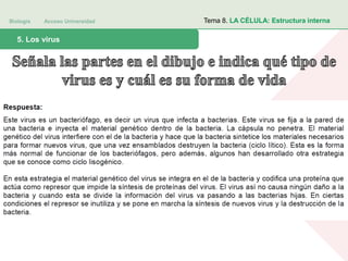 Biología Acceso Universidad
1. Teoría celular: introducción histórica5. Los virus
Tema 8. LA CÉLULA: Estructura interna
 