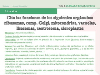 Biología Acceso Universidad
1. Teoría celular: introducción histórica5. Los virus
Tema 8. LA CÉLULA: Estructura interna
 