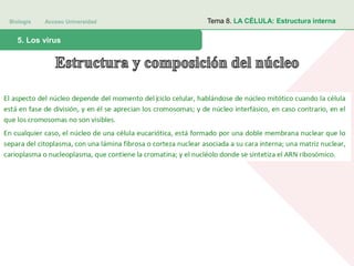 Biología Acceso Universidad
1. Teoría celular: introducción histórica5. Los virus
Tema 8. LA CÉLULA: Estructura interna
 