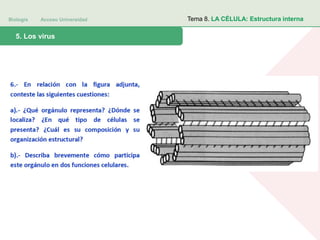 Biología Acceso Universidad
1. Teoría celular: introducción histórica5. Los virus
Tema 8. LA CÉLULA: Estructura interna
 