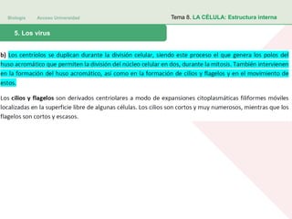 Biología Acceso Universidad
1. Teoría celular: introducción histórica5. Los virus
Tema 8. LA CÉLULA: Estructura interna
 