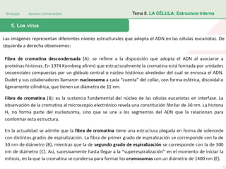 Biología Acceso Universidad
1. Teoría celular: introducción histórica5. Los virus
Tema 8. LA CÉLULA: Estructura interna
 