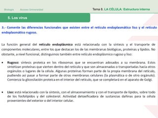 Biología Acceso Universidad
1. Teoría celular: introducción histórica5. Los virus
Tema 8. LA CÉLULA: Estructura interna
 