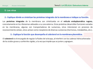 Biología Acceso Universidad
1. Teoría celular: introducción histórica5. Los virus
Tema 8. LA CÉLULA: Estructura interna
 