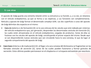 Biología Acceso Universidad
1. Teoría celular: introducción histórica5. Los virus
Tema 8. LA CÉLULA: Estructura interna
 
