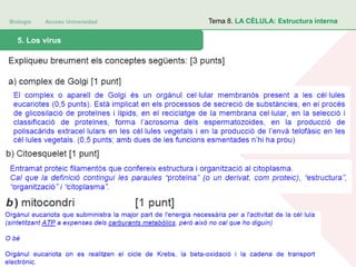 Biología Acceso Universidad
1. Teoría celular: introducción histórica5. Los virus
Tema 8. LA CÉLULA: Estructura interna
 