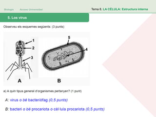 Biología Acceso Universidad
1. Teoría celular: introducción histórica5. Los virus
Tema 8. LA CÉLULA: Estructura interna
 