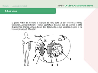 Biología Acceso Universidad
1. Teoría celular: introducción histórica5. Los virus
Tema 8. LA CÉLULA: Estructura interna
 