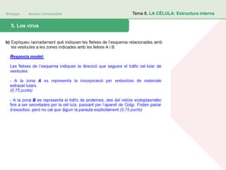 Biología Acceso Universidad
1. Teoría celular: introducción histórica5. Los virus
Tema 8. LA CÉLULA: Estructura interna
 