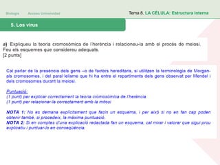 Biología Acceso Universidad
1. Teoría celular: introducción histórica5. Los virus
Tema 8. LA CÉLULA: Estructura interna
 