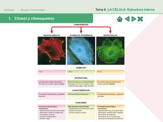Biología Acceso Universidad
1. Teoría celular: introducción histórica1. Citosol y citoesqueleto
Tema 8. LA CÉLULA: Estructura interna
 