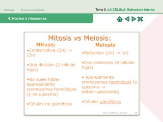 Biología Acceso Universidad
1. Teoría celular: introducción histórica4. Núcleo y ribosomas
Tema 8. LA CÉLULA: Estructura interna
 