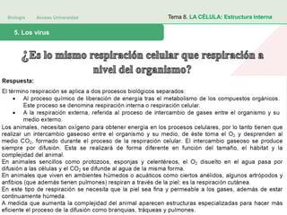 Biología Acceso Universidad
1. Teoría celular: introducción histórica5. Los virus
Tema 8. LA CÉLULA: Estructura interna
 