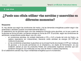 Biología Acceso Universidad
1. Teoría celular: introducción histórica5. Los virus
Tema 8. LA CÉLULA: Estructura interna
 