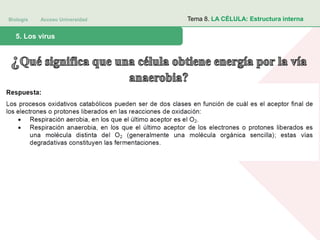 Biología Acceso Universidad
1. Teoría celular: introducción histórica5. Los virus
Tema 8. LA CÉLULA: Estructura interna
 