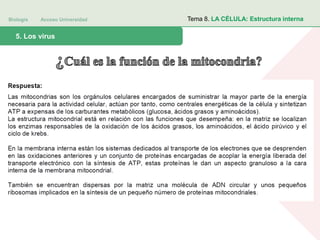 Biología Acceso Universidad
1. Teoría celular: introducción histórica5. Los virus
Tema 8. LA CÉLULA: Estructura interna
 
