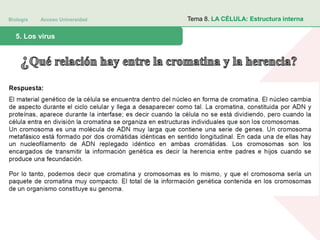 Biología Acceso Universidad
1. Teoría celular: introducción histórica5. Los virus
Tema 8. LA CÉLULA: Estructura interna
 