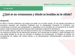Biología Acceso Universidad
1. Teoría celular: introducción histórica5. Los virus
Tema 8. LA CÉLULA: Estructura interna
 