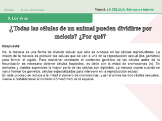 Biología Acceso Universidad
1. Teoría celular: introducción histórica5. Los virus
Tema 8. LA CÉLULA: Estructura interna
 
