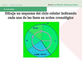 Biología Acceso Universidad
1. Teoría celular: introducción histórica5. Los virus
Tema 8. LA CÉLULA: Estructura interna
 