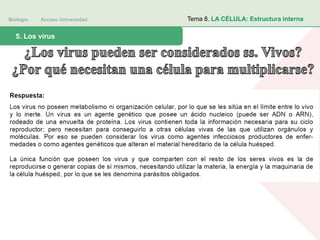 Biología Acceso Universidad
1. Teoría celular: introducción histórica5. Los virus
Tema 8. LA CÉLULA: Estructura interna
 
