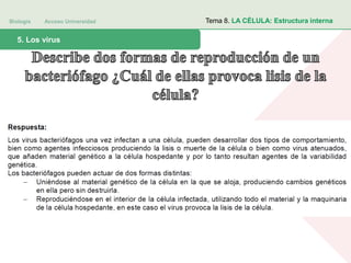 Biología Acceso Universidad
1. Teoría celular: introducción histórica5. Los virus
Tema 8. LA CÉLULA: Estructura interna
 