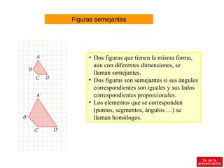 Figuras semejantes Dos figuras que tienen la misma forma, aun con diferentes dimensiones, se llaman semejantes. Dos figuras son semejantes si sus ángulos correspondientes son iguales y sus lados correspondientes proporcionales. Los elementos que se corresponden (puntos, segmentos, ángulos …) se llaman homólogos. 