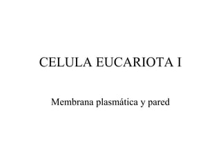 CELULA EUCARIOTA I
Membrana plasmática y pared
 