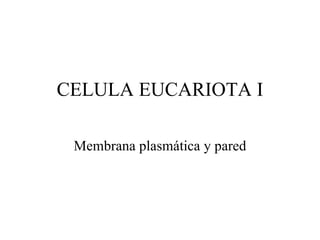 CELULA EUCARIOTA I Membrana plasmática y pared 