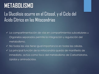 METABOLISMO
La Glucólisis ocurre en el Citosol, y el Ciclo del
Ácido Cítrico en las Mitocondrias
 La compartimentación de vías en compartimientos subcelulares u
Organelos separados permite la integración y regulación del
metabolismo.
 No todas las vías tiene igual importancia en todas las células.
 La principal función de la mitocondria queda de manifiesto de
inmediato, actúa como foco del metabolismo de Carbohidratos,
Lípidos y aminoácidos.
 