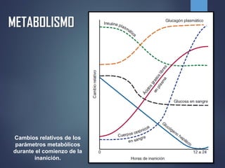 METABOLISMO
Cambios relativos de los
parámetros metabólicos
durante el comienzo de la
inanición.
 