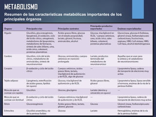 Resumen de las características metabólicas importantes de los
principales órganos
METABOLISMO
 