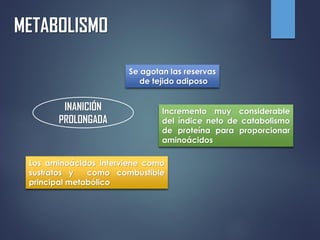 METABOLISMO
INANICIÓN
PROLONGADA
Se agotan las reservas
de tejido adiposo
Incremento muy considerable
del índice neto de catabolismo
de proteína para proporcionar
aminoácidos
Los aminoácidos interviene como
sustratos y como combustible
principal metabólico
 